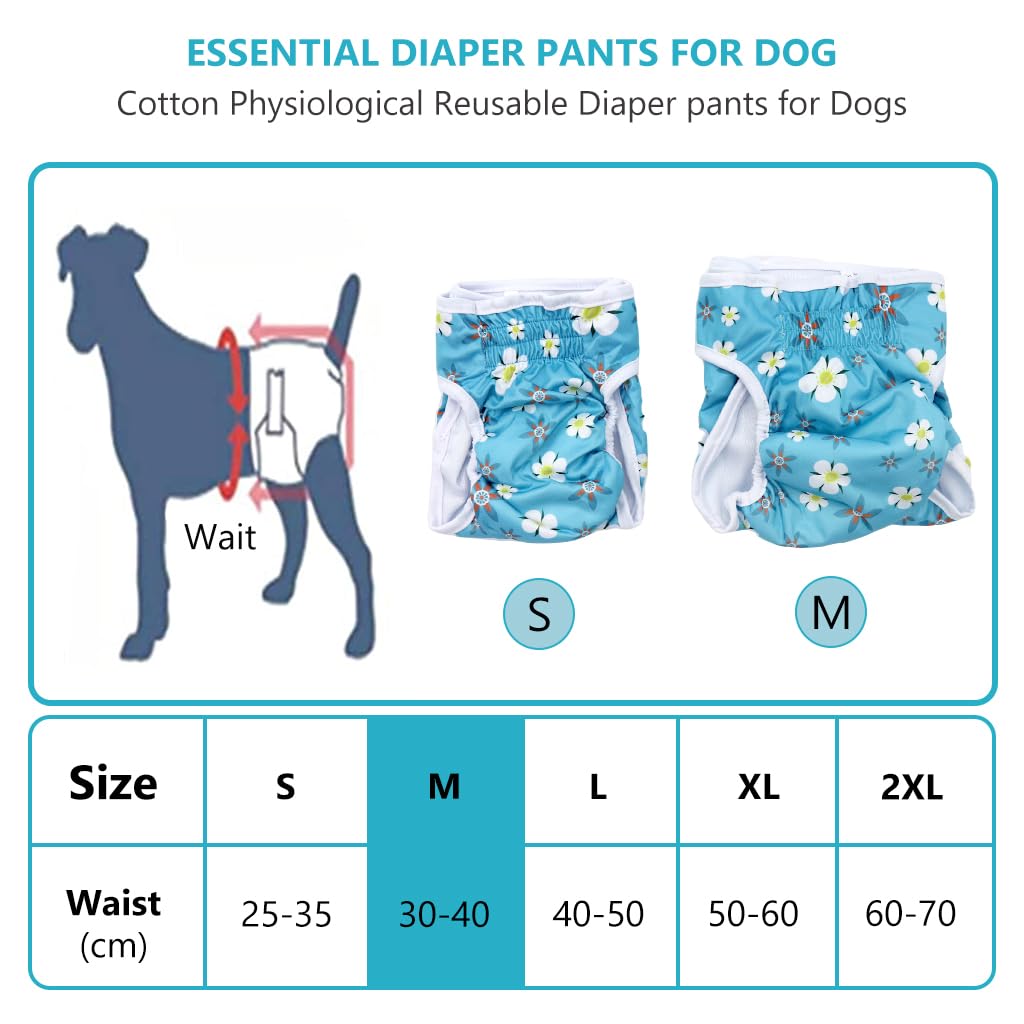 Qpets® Washable Reusable Dog Diapers Female for Periods, Bright Color, Excitement Urination & Incontinence, Soft & Comfortable, Leak-Free & Strong Absorbent (Size: M 40-50cm)