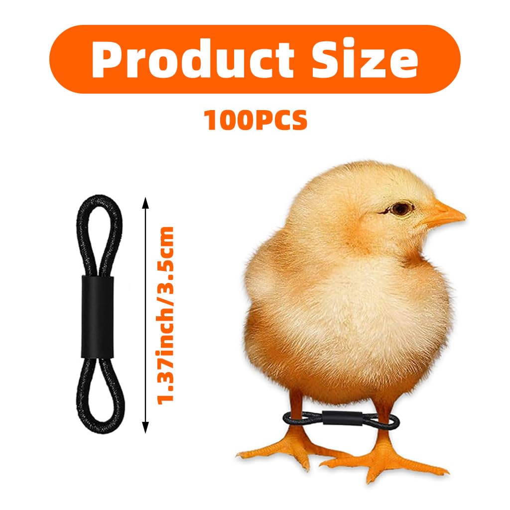 ZIBUYU Chicken Leg Loops for Chick Splay Leg Correction featuring Figure 8 Design | 100pcs