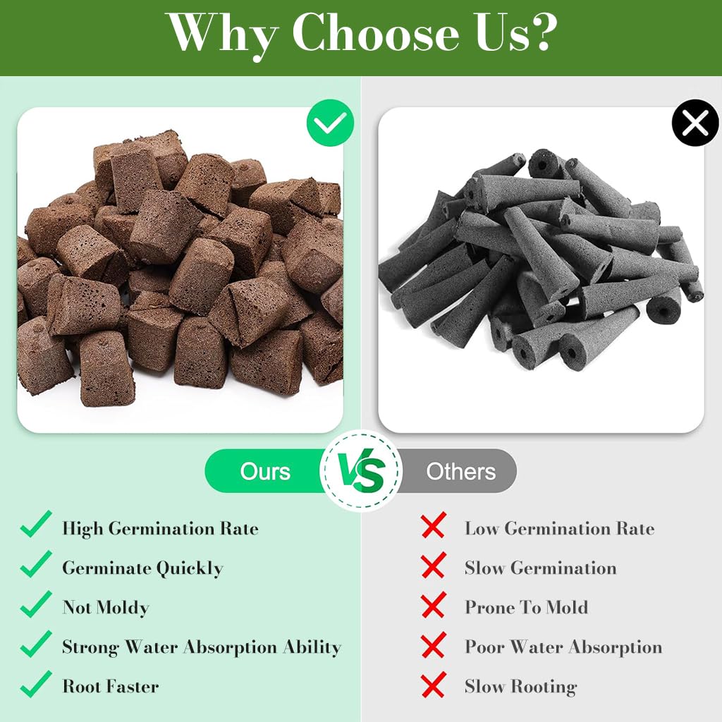 HASTHIP Seedling Sponge Blocks 50 pcs for Hydroponic Gardening featuring Porous Structure & Strong Root Aeration
