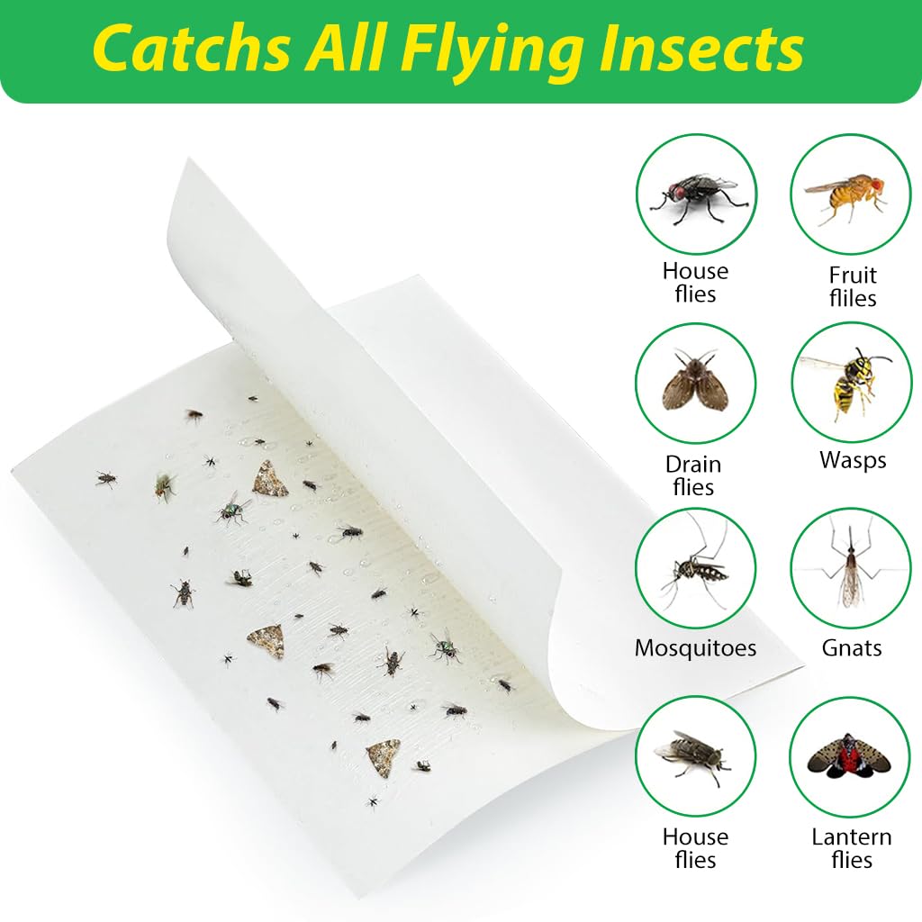HASTHIP Adhesive Fly Trap for Kitchen and Garage with Large Surface Non-Toxic 10 Count | Odorless Insect Catcher