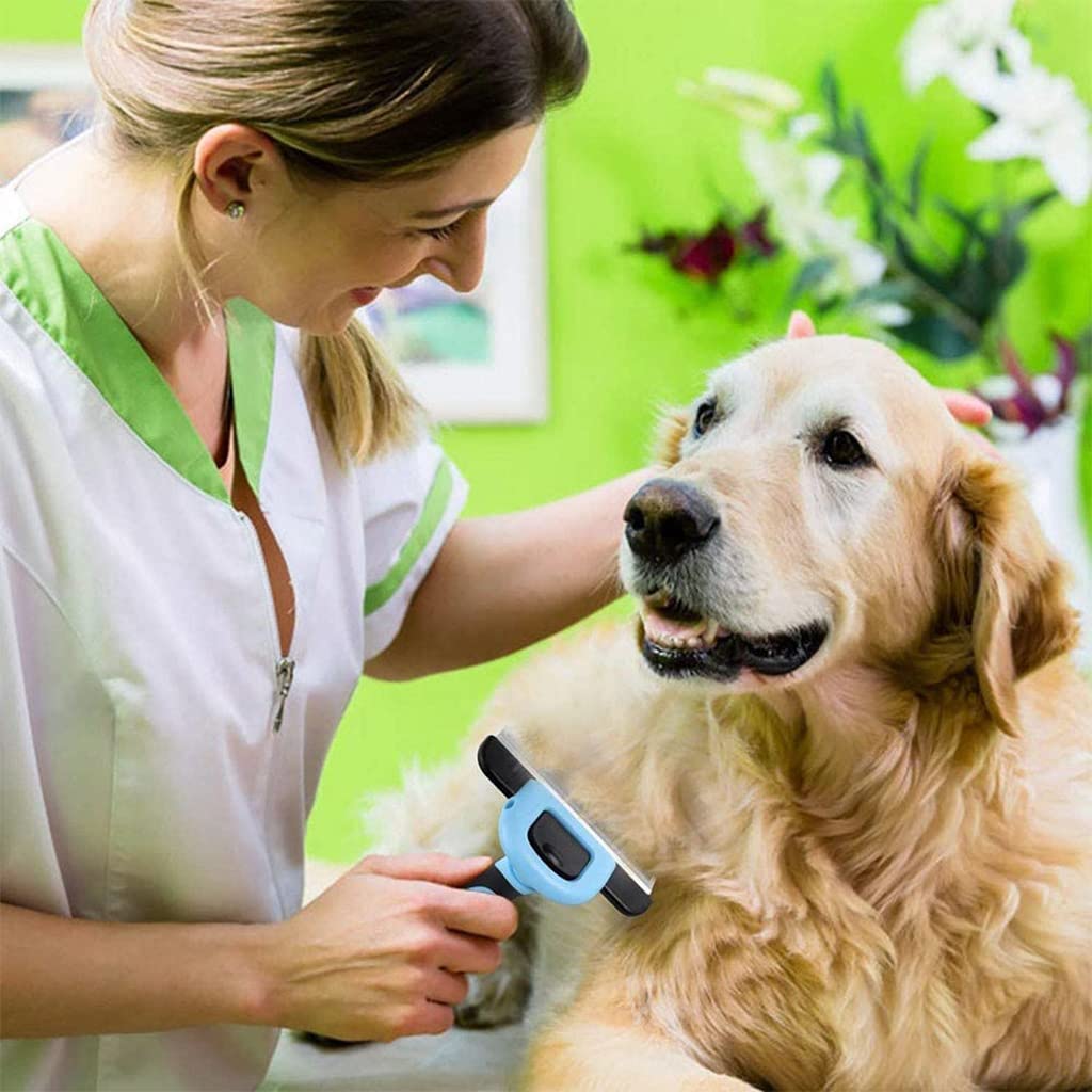 Qpets® Deshedding Brush for Dogs for Labrador, Dog Deshedding Brush Dog Hair Brush for Small, Medium Dogs, Slicker Brushes Comb for Dogs for Medium or Short Hair Dogs, Puppy