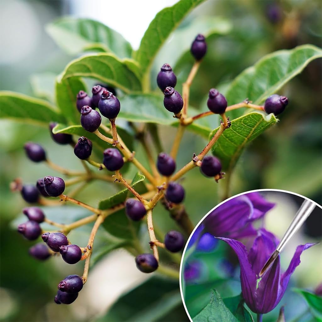 HASTHIP Pollinating Brush for Improving Pollination in Garden Flowers and Fruits | Handheld Tool
