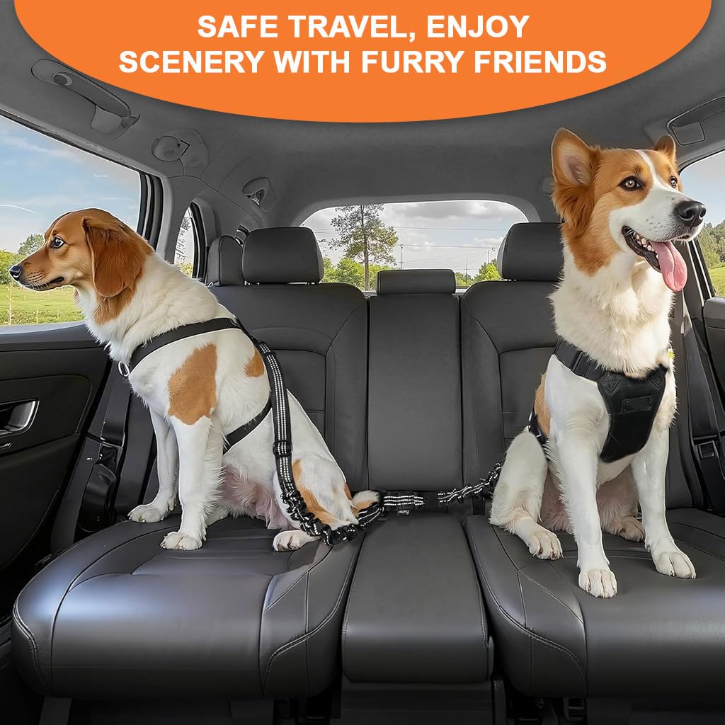 STHIRA Dog Safety Harness for Car with 360° Swivel Carabiner and 54–90 cm Bungee Strap | Reflective Nylon Strap