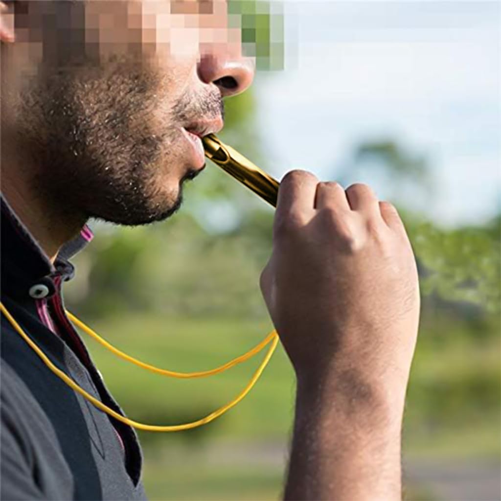 ZIBUYU Emergency Whistle for Outdoor Survival with Dual Hole 120db Design and Keychain | Stainless Steel Gold