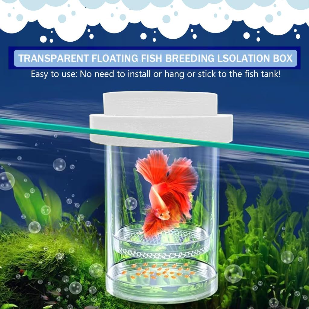 Qpets Betta Fish Breeding Box for Fry Rearing with Anti Escape Mesh PET Plastic | 2 Pcs Floating Design
