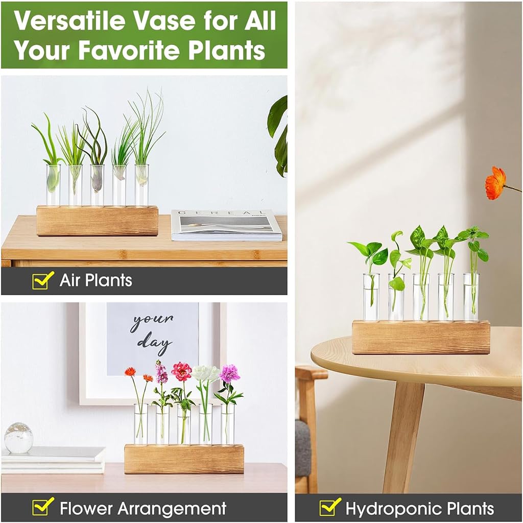 HASTHIP Glass Hydroponic Planters for Indoor Decor with Wooden Stand & 6 Tubes | Ideal Gift
