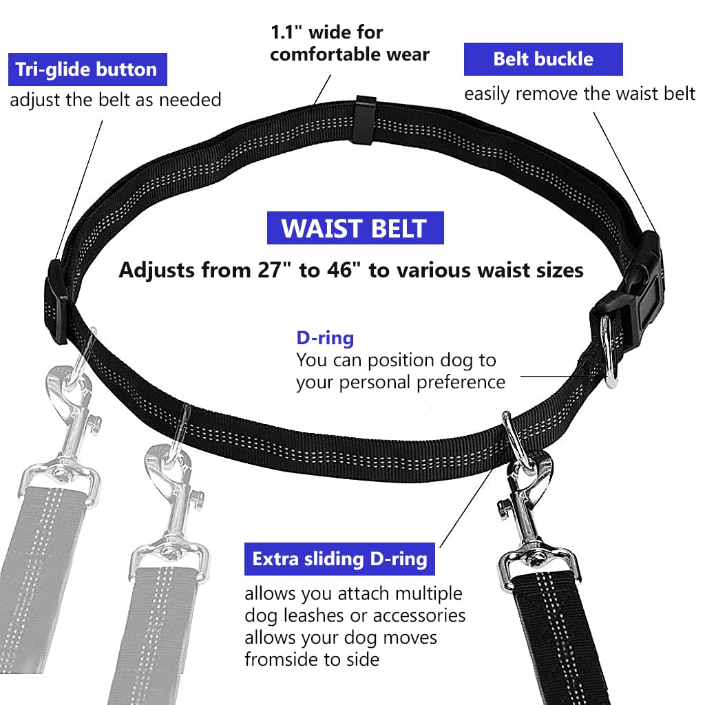 Qpets Dog Leash Waist Bag for Running and Walking with Dual Handles and Reflective Strips | 59 in Hands Free Set