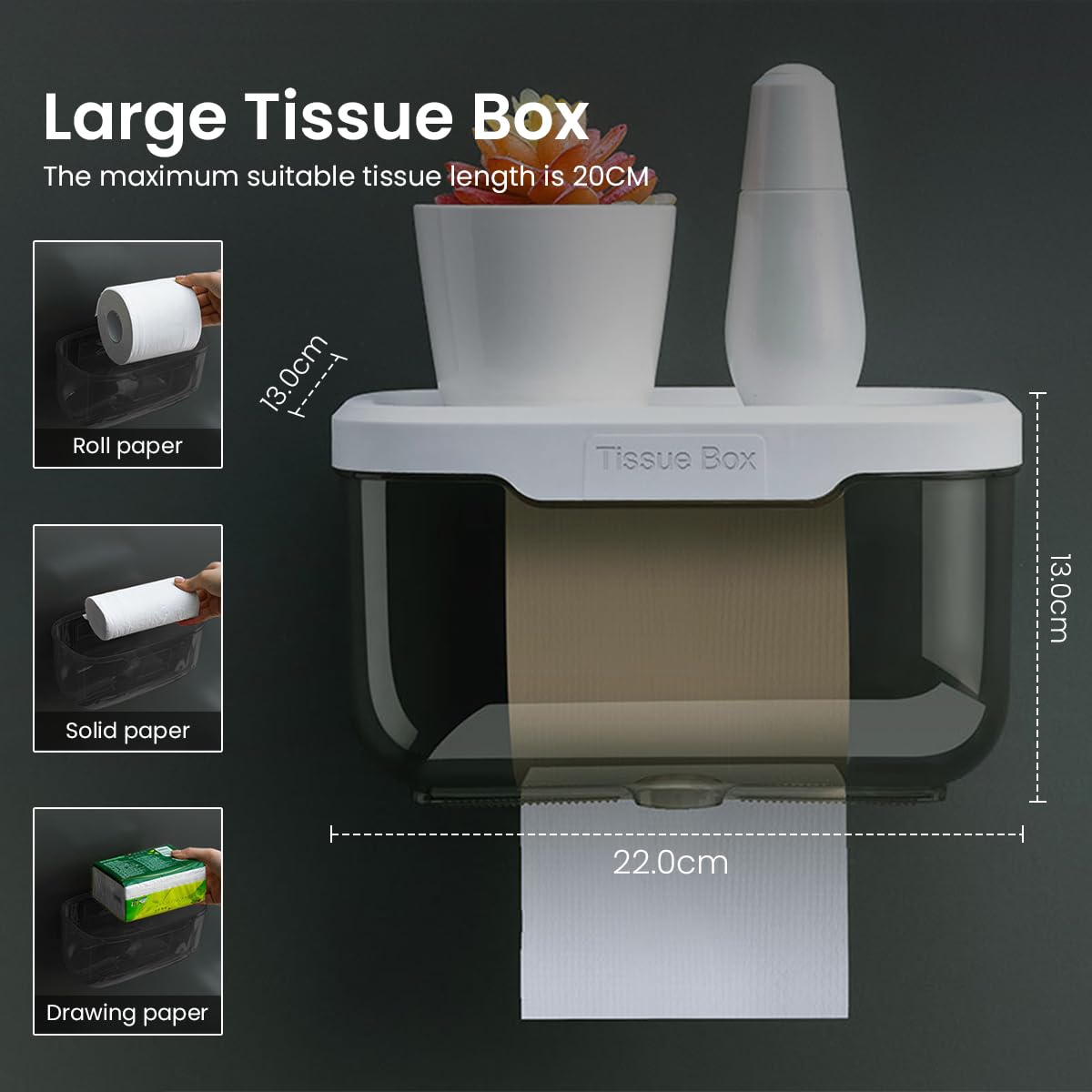 HASTHIP Wall Mounted Paper Holder with 18x10.5cm Utility Shelf and Screw Mount | Stainless Steel