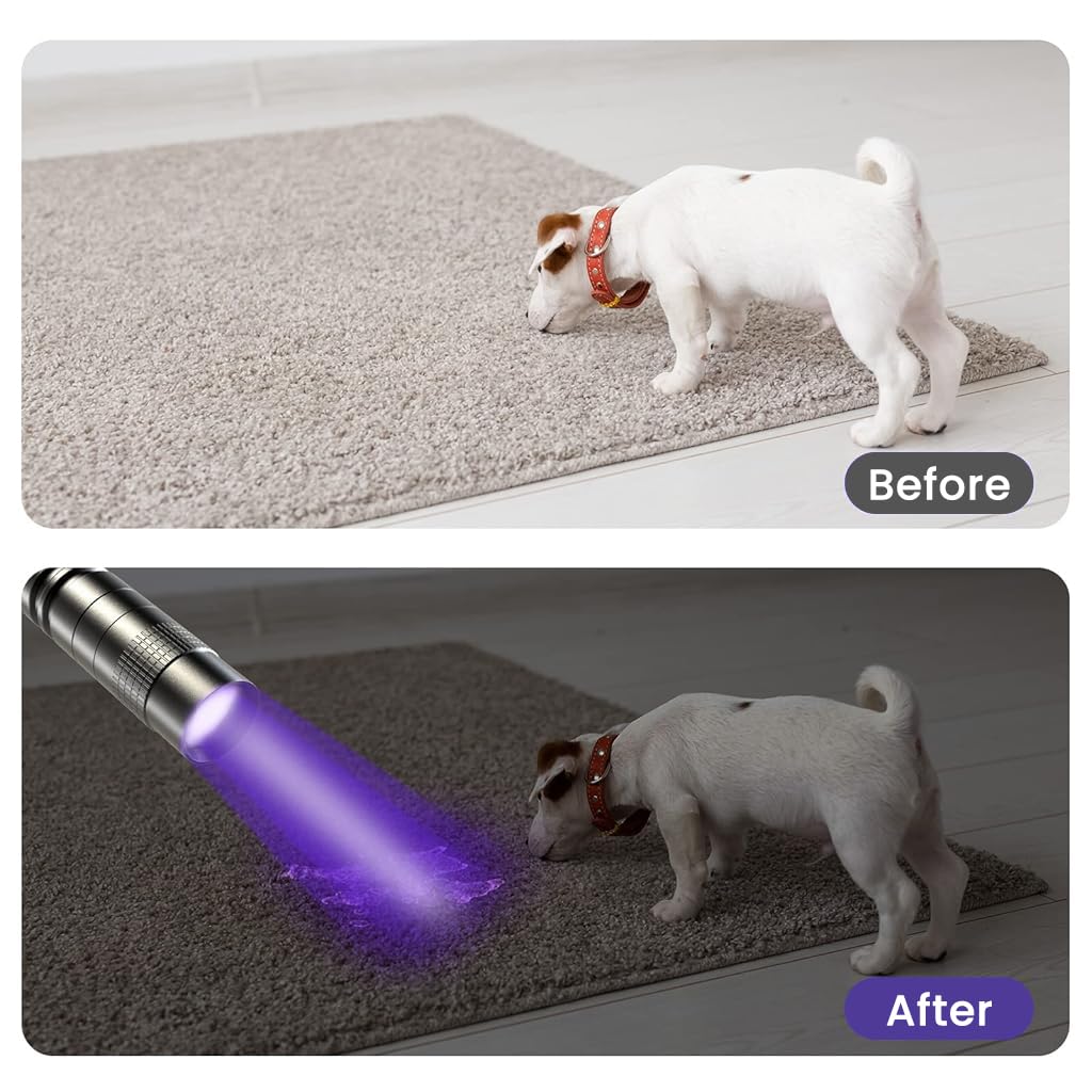 ELEPHANTBOAT UV Pen Light for Pet Urine and Scorpion Detection featuring 395nm Beam | Waterproof Aluminum Alloy Flashlight