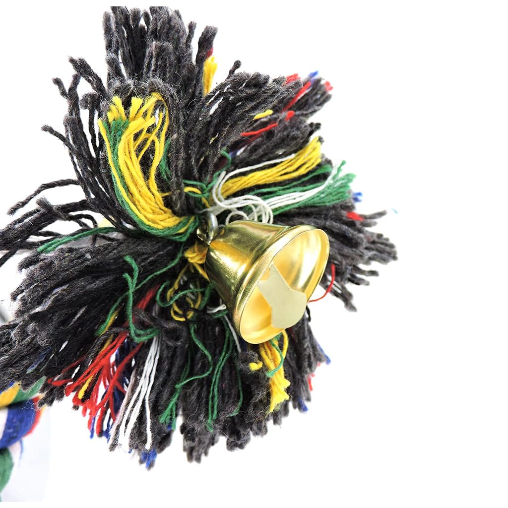ZIBUYU Birds and Parrot Toy for Exercise with 1m Rope Perch and Steel Core | Colorful Swing
