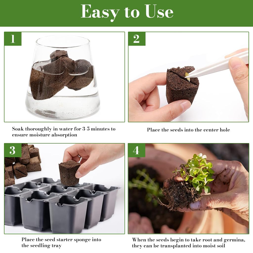 HASTHIP Seedling Sponge Blocks 50 pcs for Hydroponic Gardening featuring Porous Structure & Strong Root Aeration