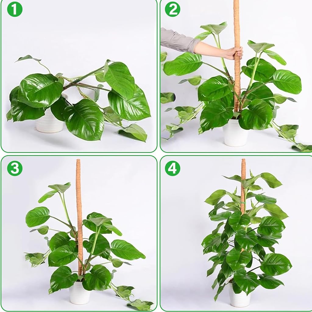 ZIBUYU Plant Support Stick for Monstera and Vines with Bendable 4mm Core | 23.6 in Natural Coconut Fiber Pole