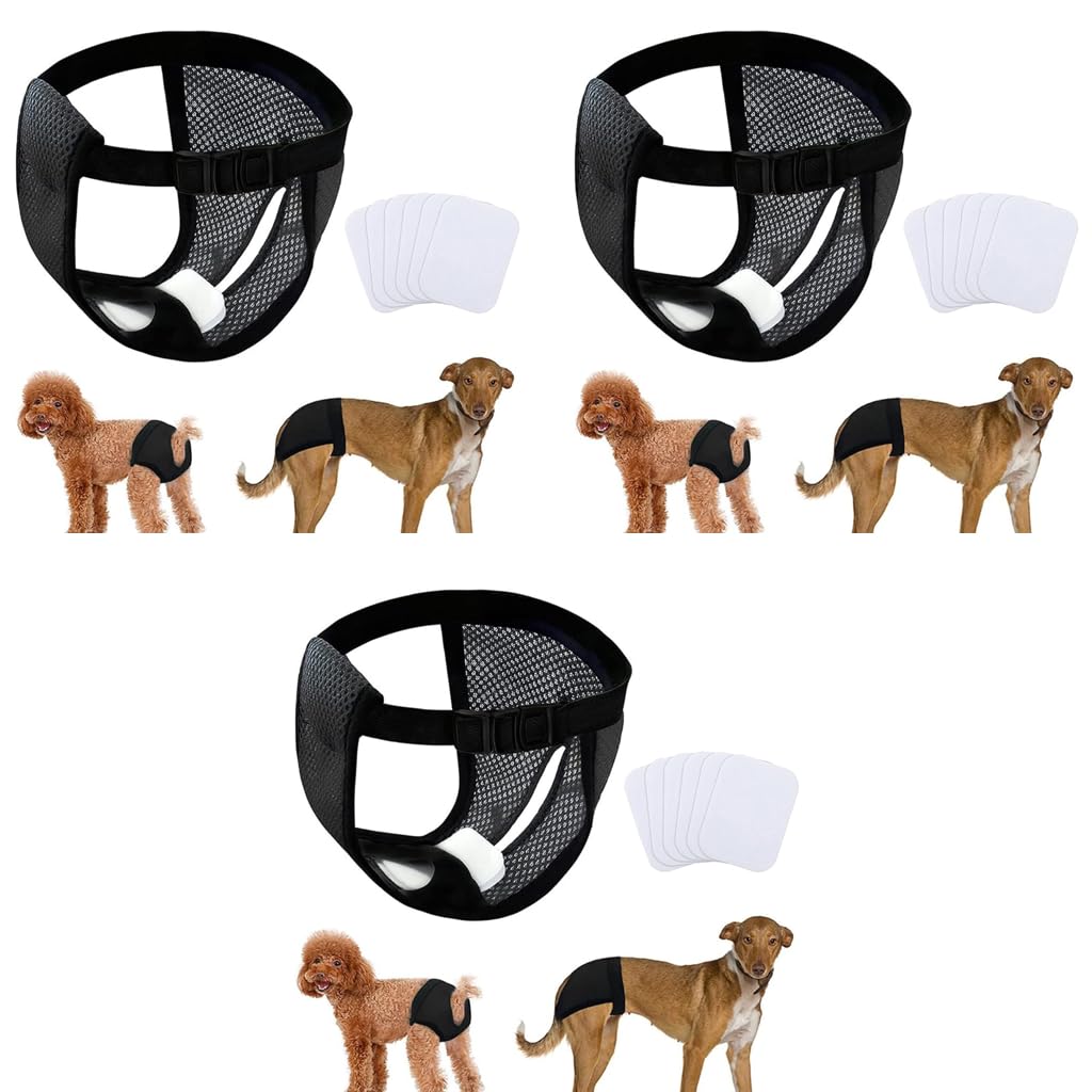 Qpets Dog Diapers Female Reusable for Puppy with 3 Absorption Cotton Pads | Breathable Mesh 3 PCS L 15.7–19.2 in Waist