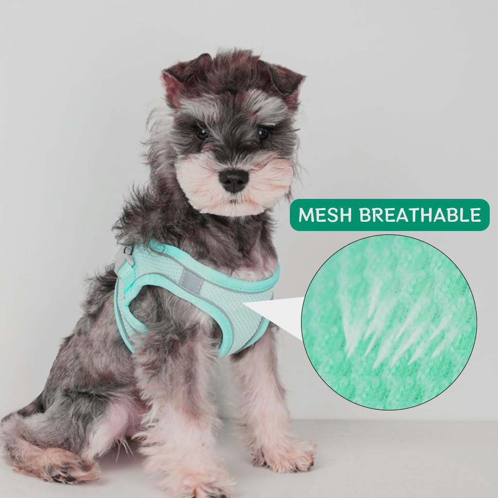 Qpets Small Dog Harness, 4.9Ft Dog Leash Breathable Mesh Pet Harness Small Dog Vest Harness with Safe Reflective Strips No Pull Small Dog Harness (Neck: 36-42CM)