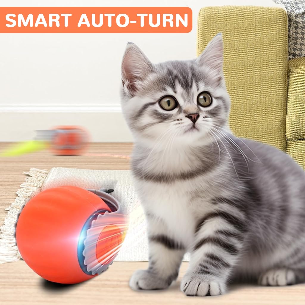 Qpets Electric Cat Ball Toy for Solo Play with 2 Speed Modes and Teasing Tail & Bell Charm