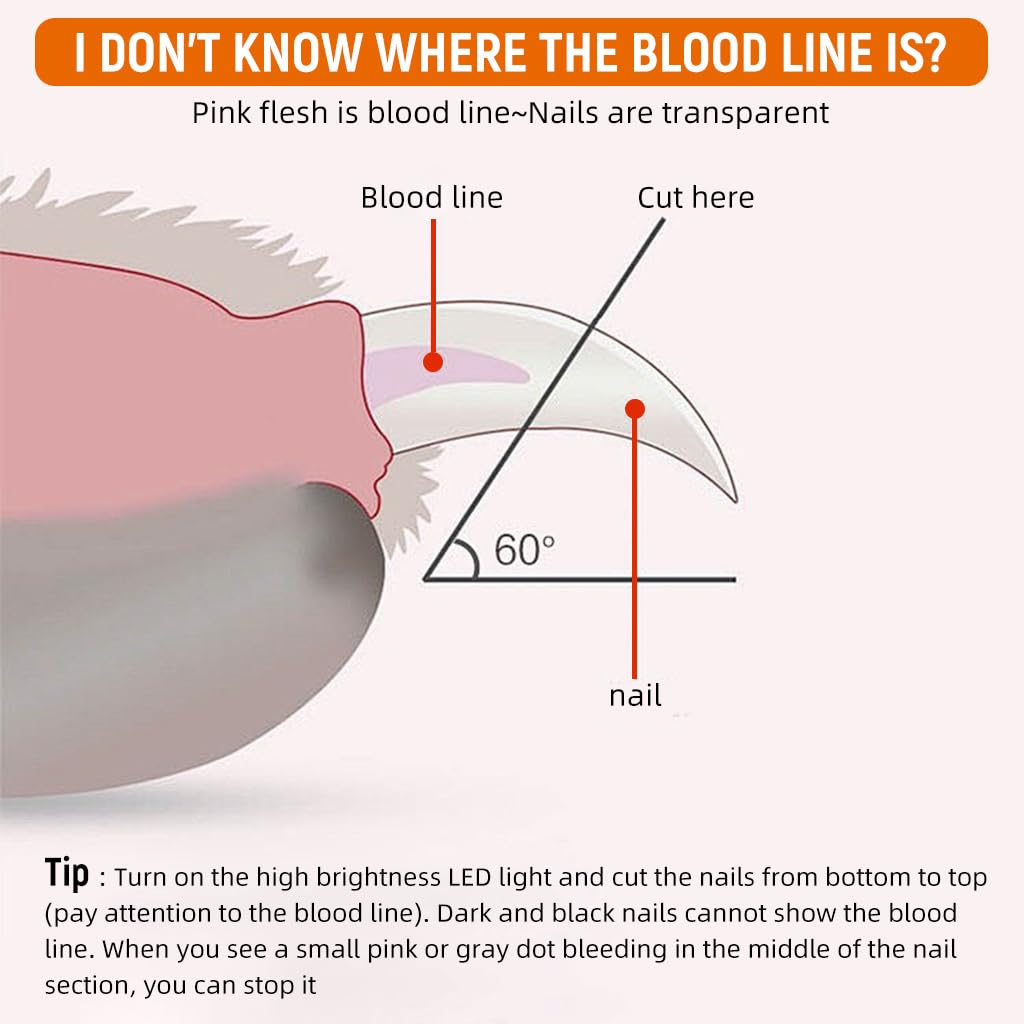 Qpets Cat Nail Clipper for Safe Grooming with 1.5mm 2mm 3mm Guard Holes | Stainless Steel