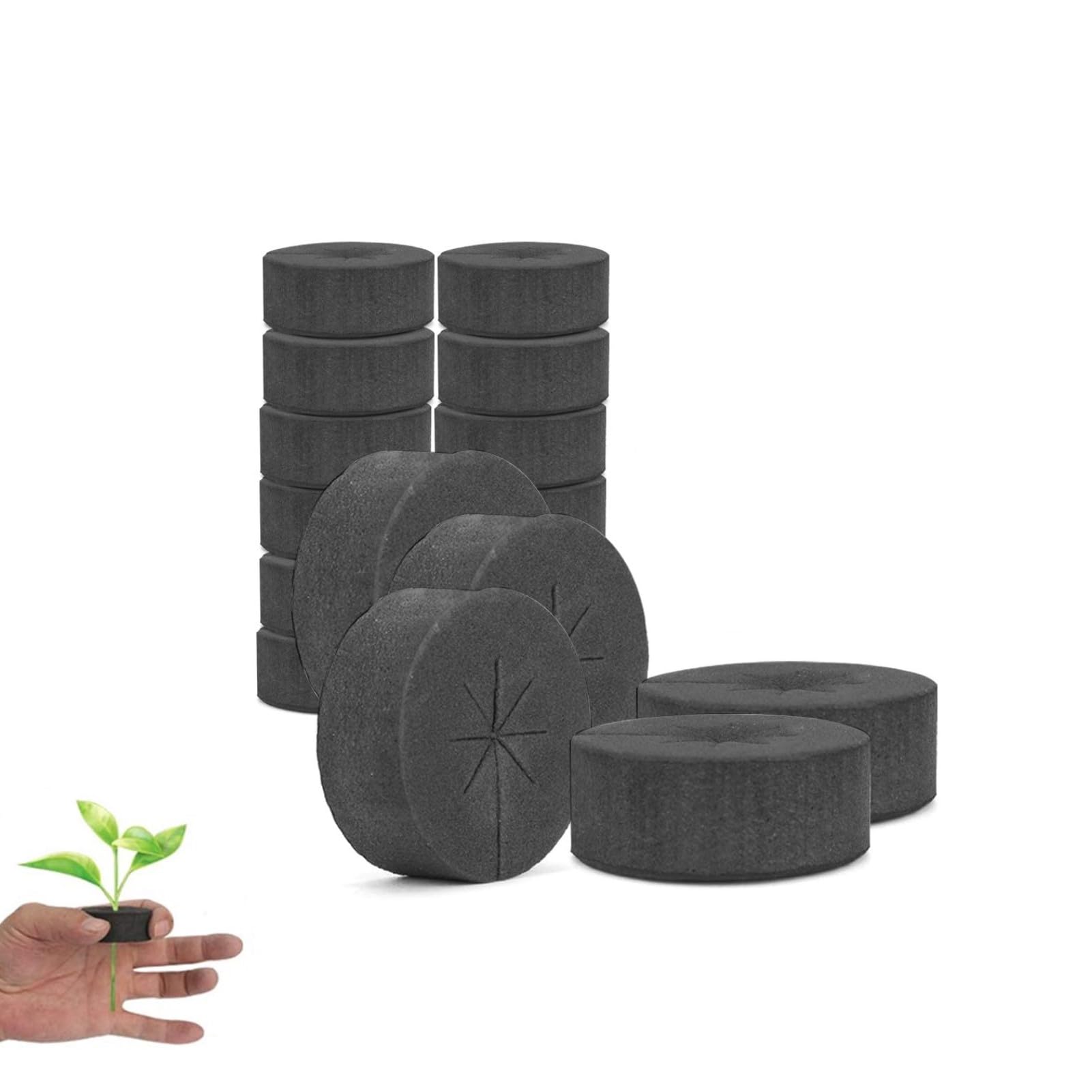 HASTHIP Hydroponic Sponge Blocks for Seed Starting with 30 pcs 48mmx19mm EVA Foam | Moisture Retention and Root Aeration