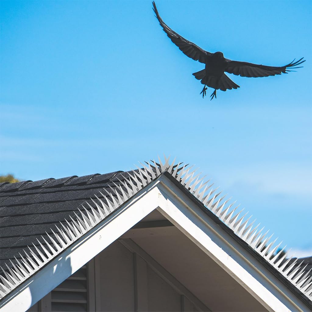 HASTHIP Pigeon Spikes for Outdoor Animal Control featuring Dual Row 48mm Spikes | Stainless Steel 3.3ft Strips with Gloves and Cable Tie