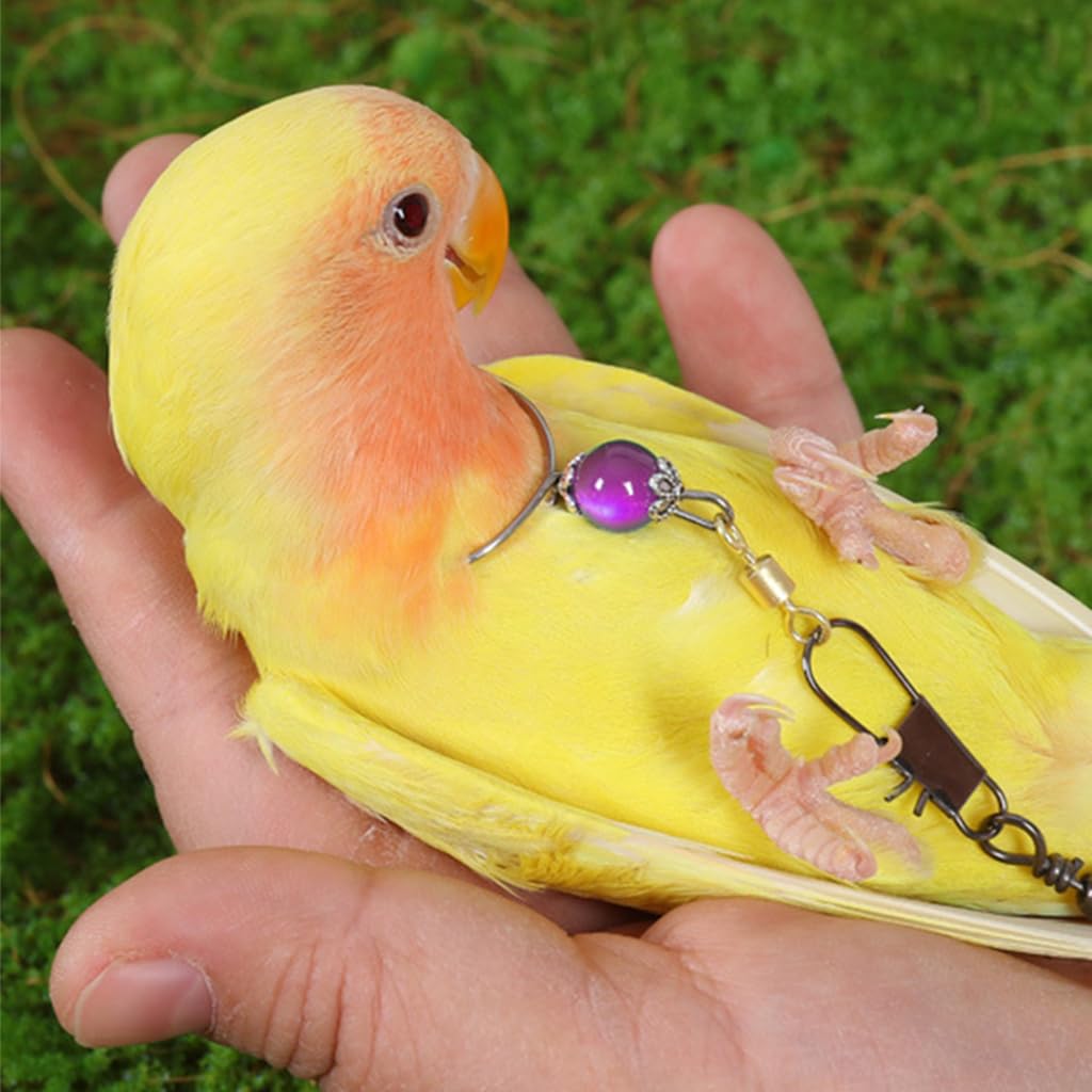 Qpets Parrot Chain Harness for Outdoor Use with 50cm Chain and Quick Release Buckle | Purple Opal Charm Collar