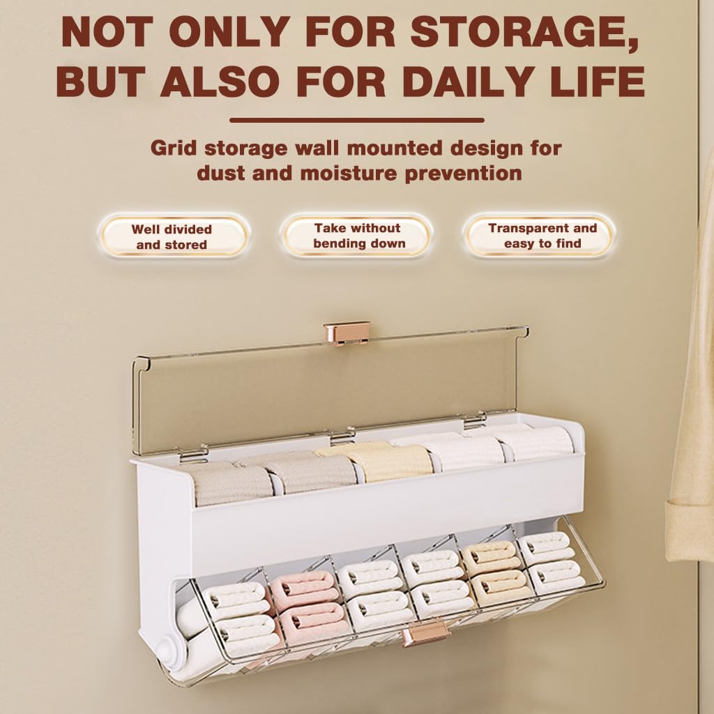 HASTHIP Underwear Storage Box with 11 Clear Compartments and Double Layer Design | Waterproof Wall Mounted Organizer 38x9x16.5cm