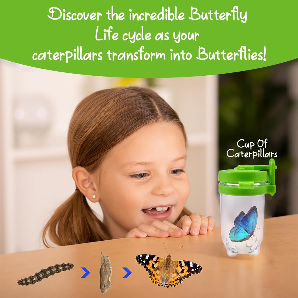 HASTHIP Bug Catching Tool Set for Kids with Magnifying Glass and Mesh Cage 6 Pcs | Outdoor Exploration Toy