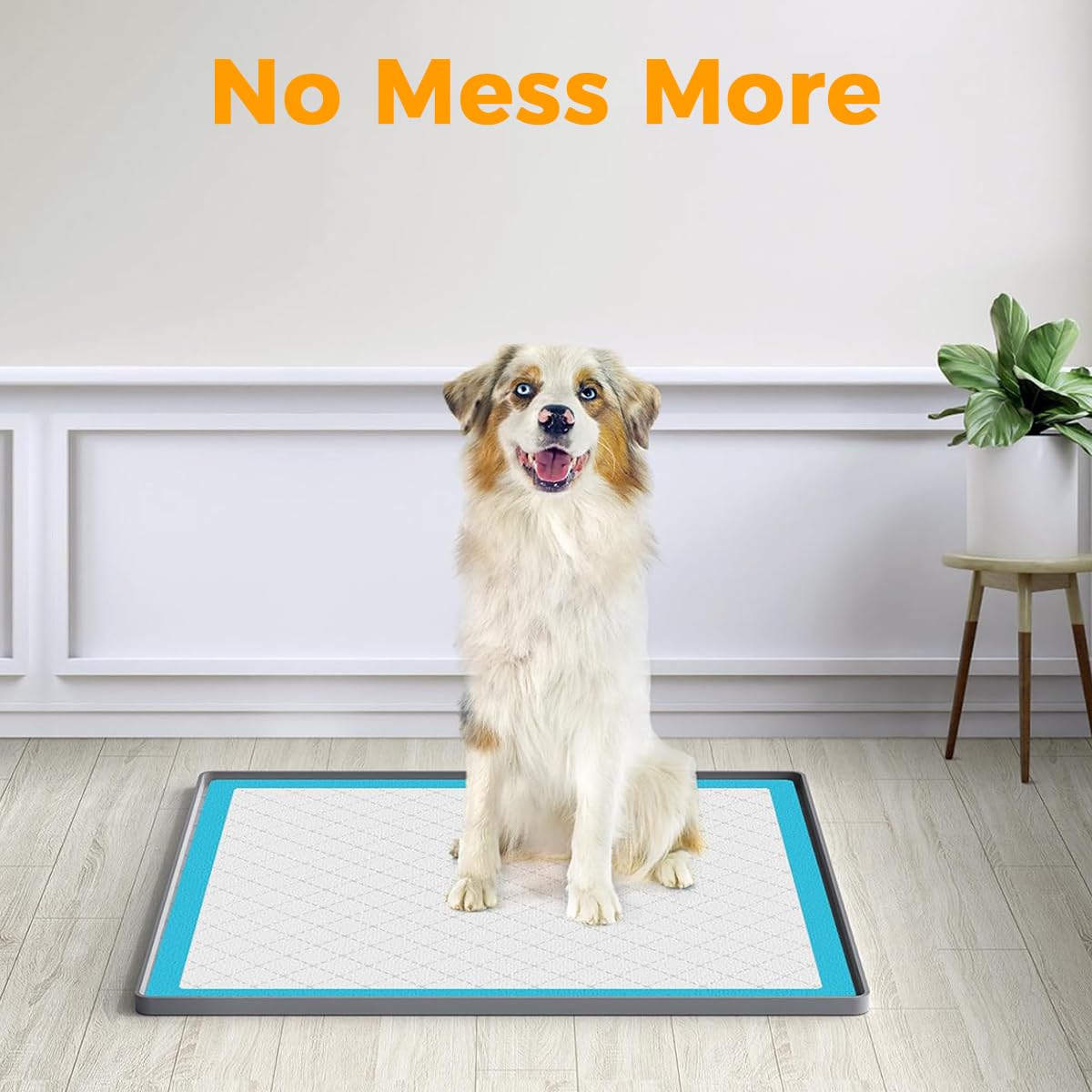 Qpets Pet Pee Pad for Puppy Training with Non Slip Waterproof Design 60x60cm Silicone Mat | Reusable and Easy to Clean