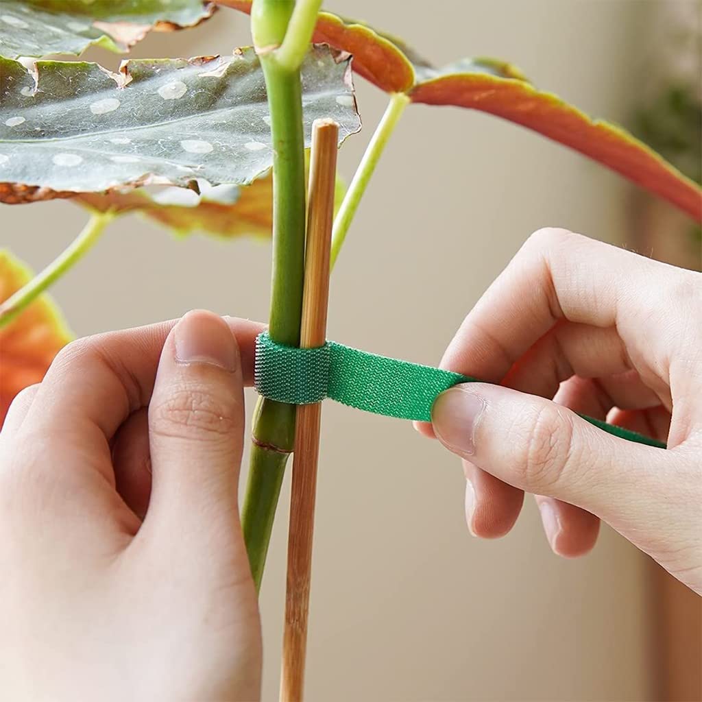 HASTHIP Plant Tie Strap for Tomato and Tree Support with Hook Loop Design 10pcs 1m Nylon Rolls