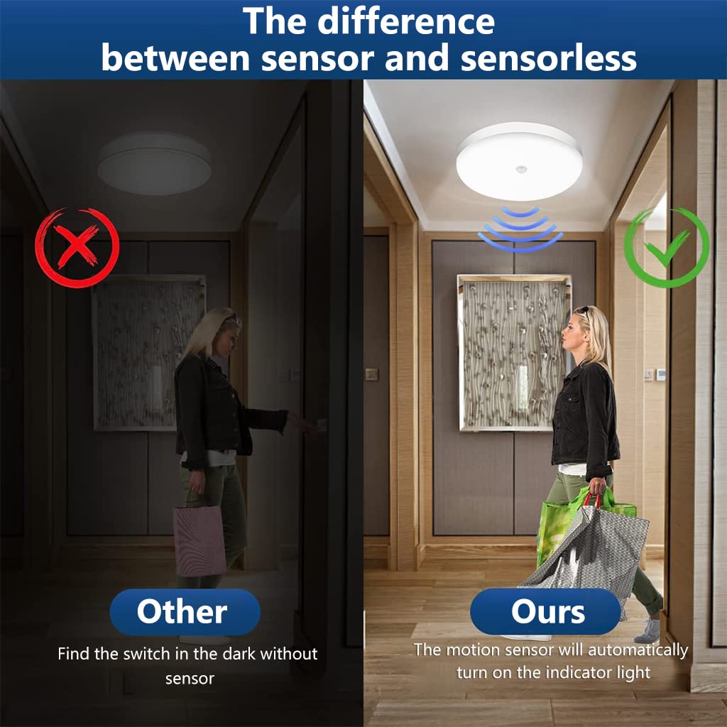 ELEPHANTBOAT Smart Induction Ceiling Light for Living Room featuring 30W 9.8 in 6500K White | IP56 Waterproof LED Fixture