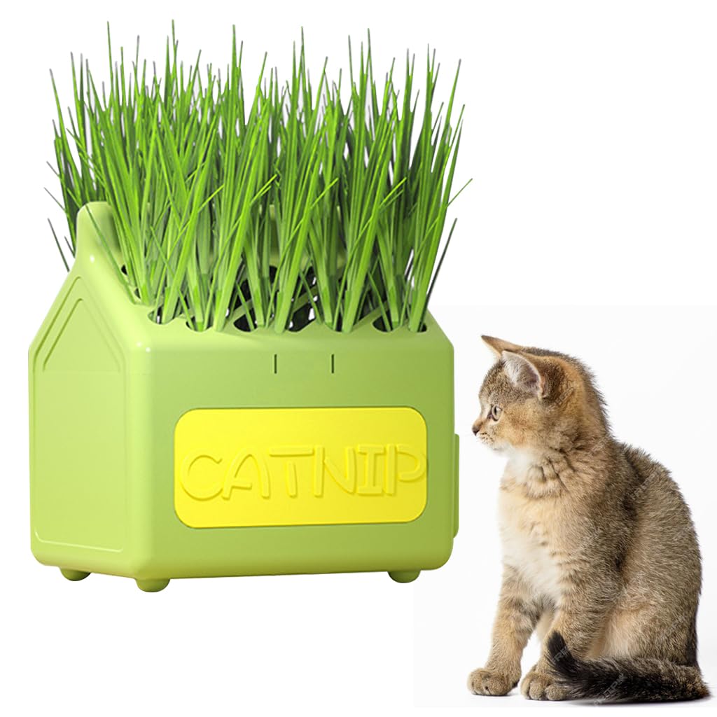 Qpets® Cat Grass Planting Box Catnip Growing House Catnip Plant Pot Cartoon Milk Box Catnip Growing Box, 12x9x12cm