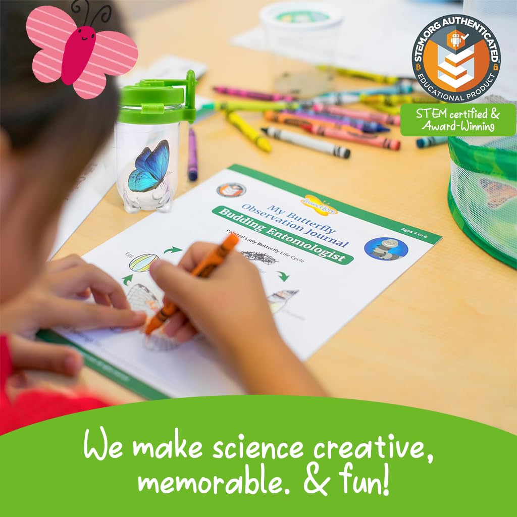 HASTHIP Bug Catching Tool Set for Kids with Magnifying Glass and Mesh Cage 6 Pcs | Outdoor Exploration Toy