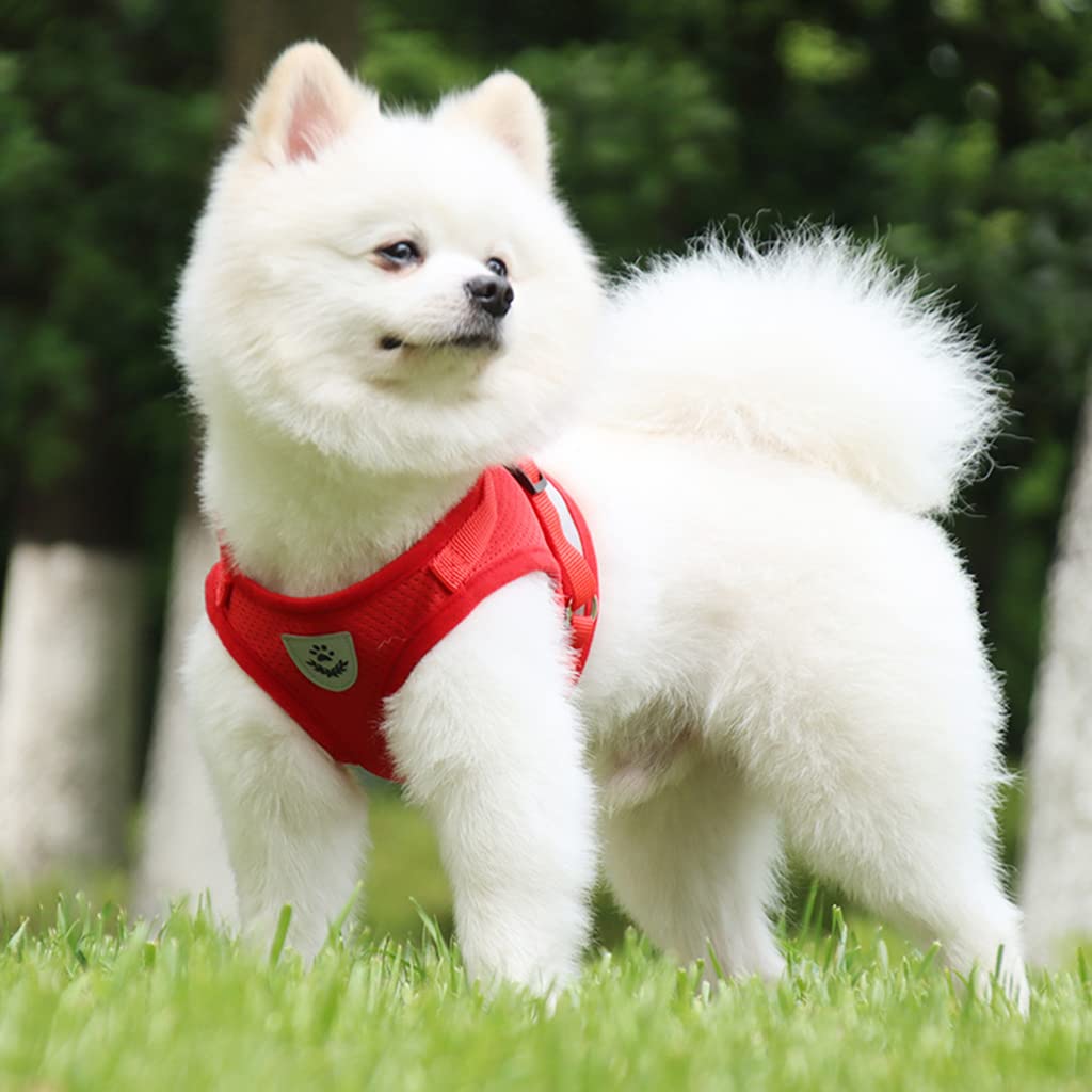 Qpets Dog Harness for Large Dogs with 1.2m Leash featuring Reflective Strips and Mesh Fabric