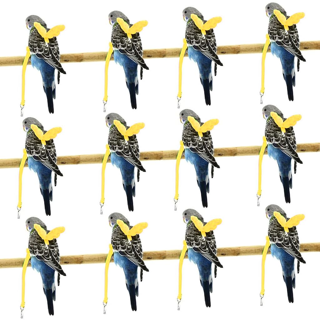 Qpets® Pet Parrot Bird Harness, Anti-bite Outdoor Parrot Bird Flight Safety Belt for Parrot Training, Bird Toys Elastic Rope with Cute Angel Wings for Parrot, Yellow