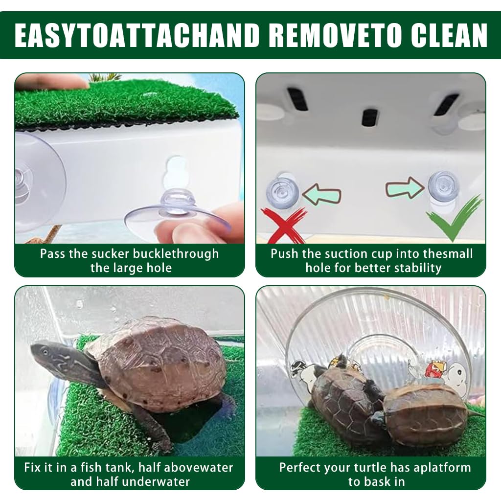 Qpets Turtle Basking Platform for Aquatic and Terrestrial Tanks with Suction Cups and Removable Turf | Wall Mounted Design for Comfortable Sunbathing