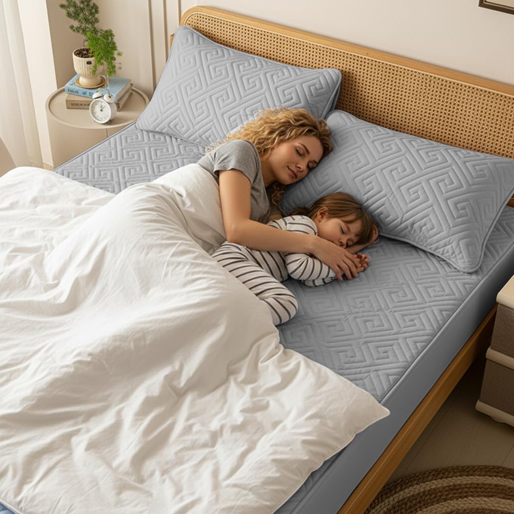 HASTHIP Mattress Protector Queen Size 78.7 x 59 in with Hidden Waterproof Liner | Quilted Cotton Gray Fitted Sheet