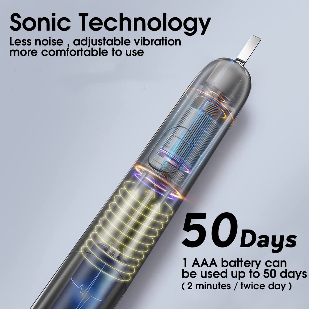 ELEPHANTBOAT Sonic Electric Tooth Brushes for Adult Battery Used for 50 Days Provided 40000 Strokes per Minute, One Electric Battery Toothbrush