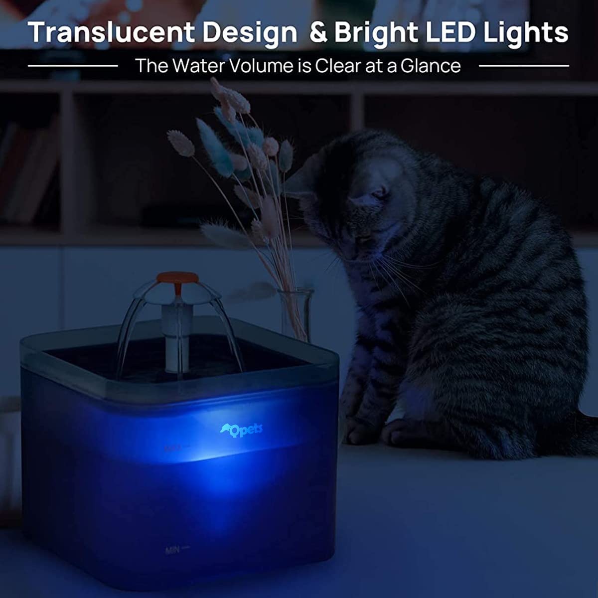 Qpets Cat Water Fountain 2L for Home Use with Ultra Quiet Pump and LED Light | Includes 4 Replacement Filters