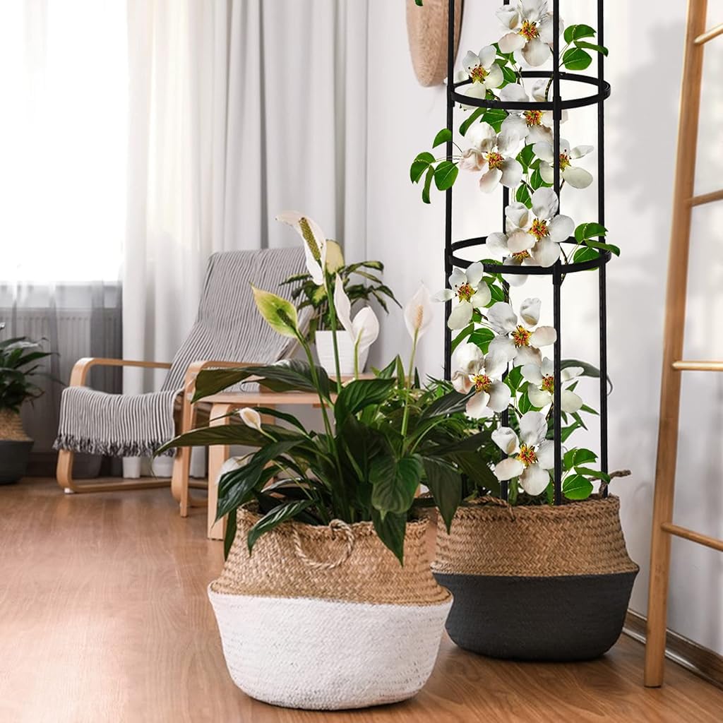 HASTHIP Trellis for Climbing Plants 120cm Adjustable Round Support Sticks with Plastic Frame | Ideal for Clematis Roses Tomatoes and Ivy