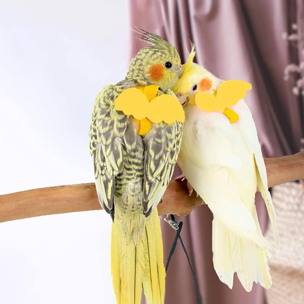 Qpets Parrot Bird Harness for Outdoor Flight Training with 2 m Elastic Leash and Cute Angel Wings | Yellow