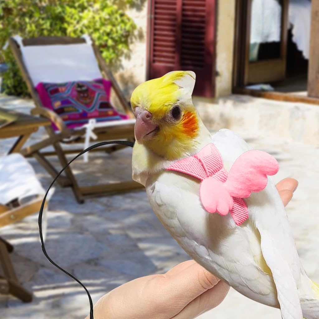 Qpets Pet Parrot Harness for Outdoor Flying with 2 m Elastic Leash and Quick Release Strap | Lightweight Adjustable Design