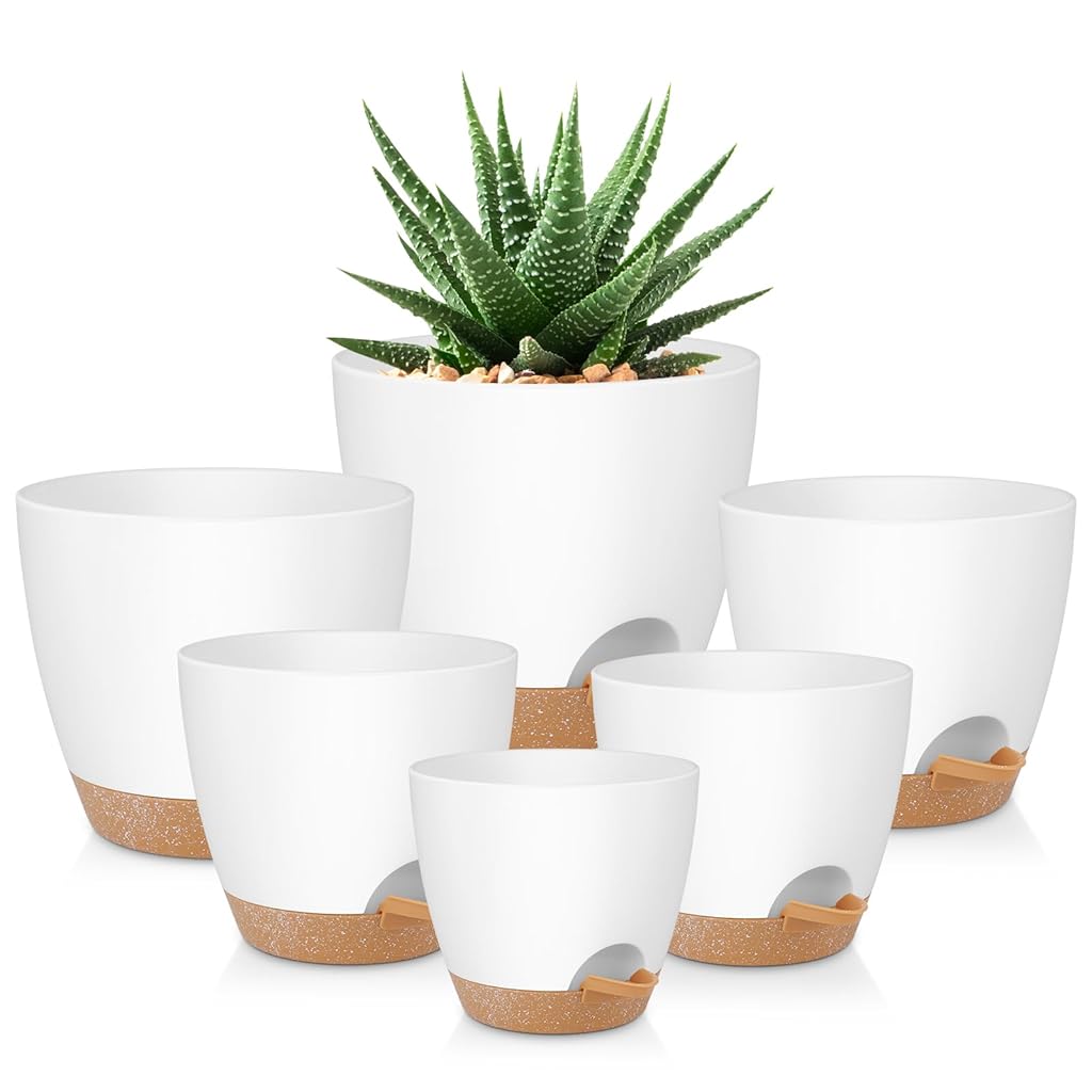 HASTHIP 6 Pcs Plastic Pots for Plants Kit - Plant Self Watering Plant Pots - Flower Pot with Drainage Holes & Saucers - Flower Pots for Home Decoration - Nursery Planting Pot for Indoor/Outdoor Plant