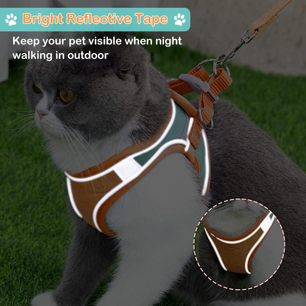 Qpets Cat Harness for Small Cats with 1.5m Leash featuring Quick Release Buckle and Reflective Strips | Adjustable Breathable Vest in Orange
