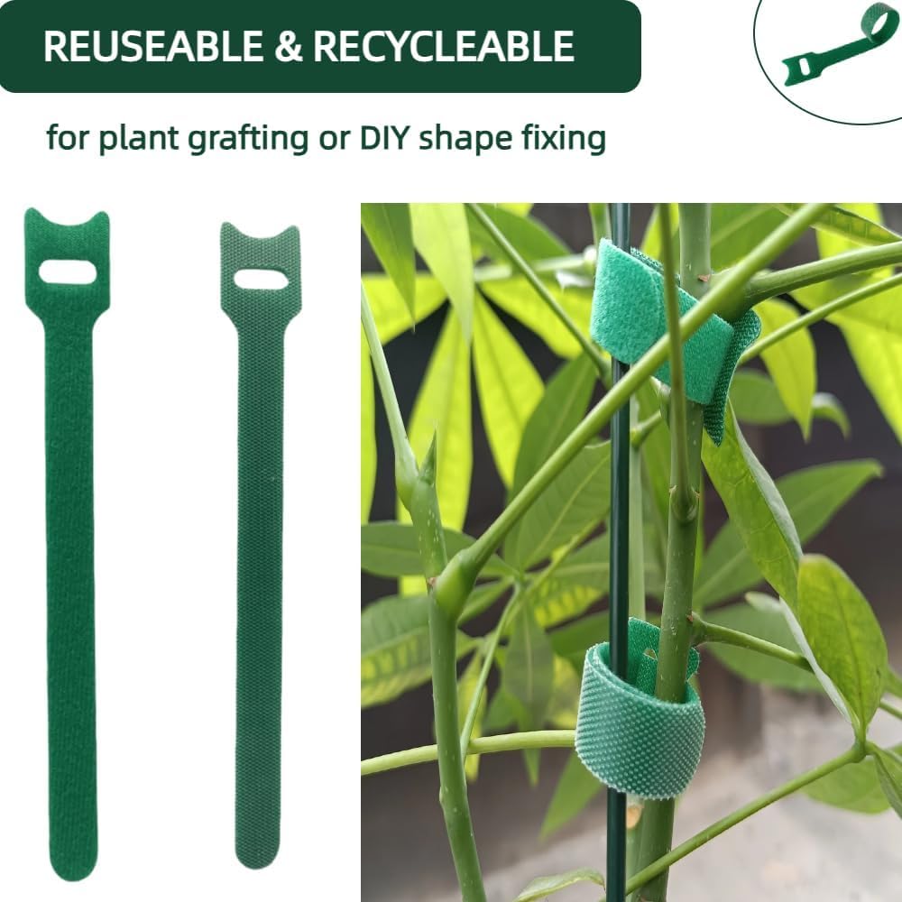 HASTHIP Plant Ties for Gardening 200 pcs 12×150 mm with Hook and Loop | Reusable Green Nylon
