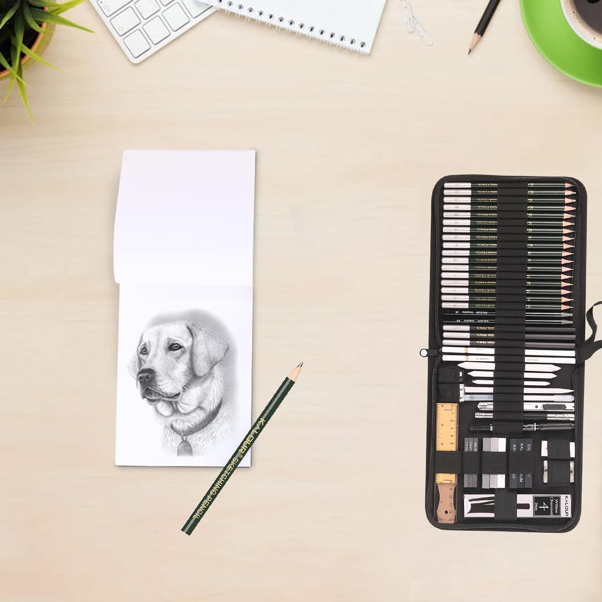 HASTHIP Sketch and Drawing Tool Kit for Artists with 54 Pcs including Storage Bag | Ideal Gift