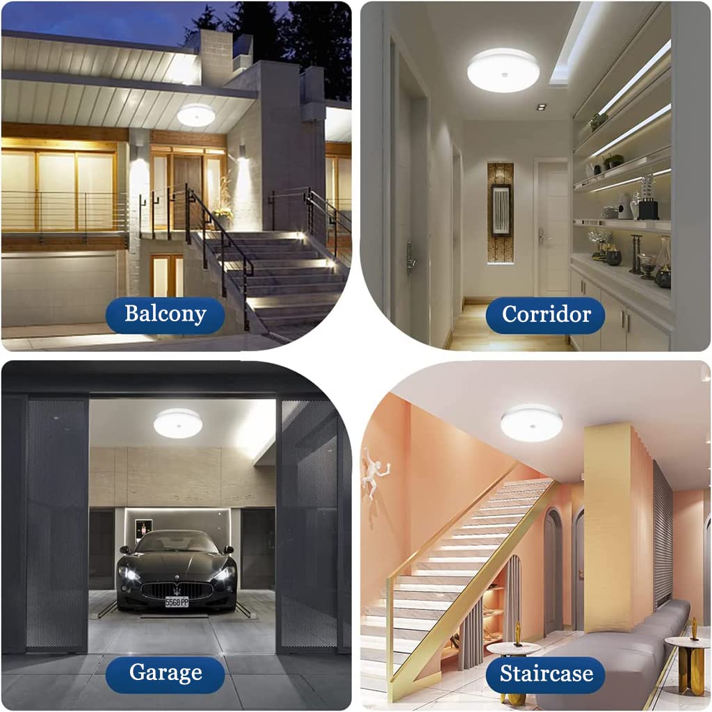 ELEPHANTBOAT Smart Induction Ceiling Light for Living Room featuring 30W 9.8 in 6500K White | IP56 Waterproof LED Fixture