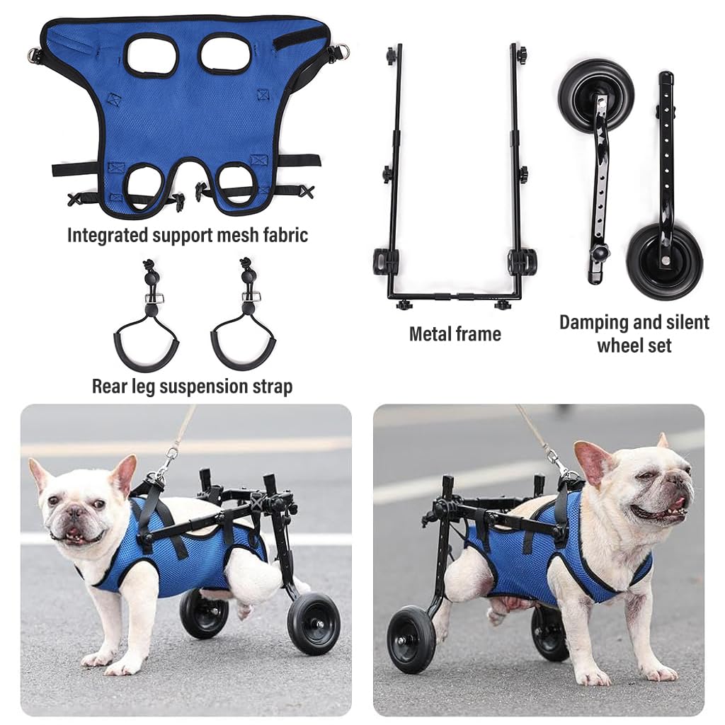 Qpets Dog Wheelchair for Back Legs featuring Double Ring Leash Design and Nylon Frame | Adjustable Fit for Small Disabled Dogs