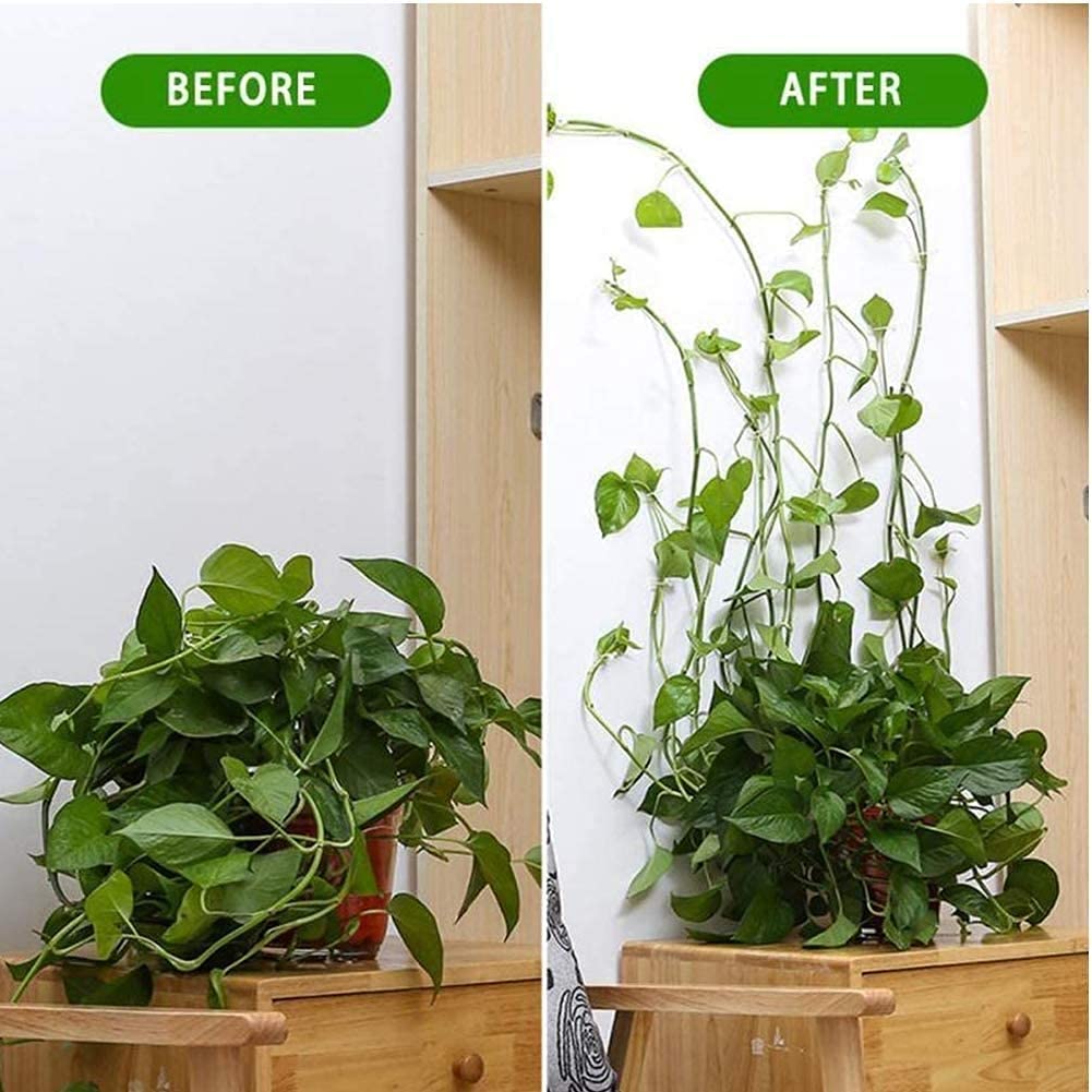 HASTHIP Wall Fixture Clips for Plant Climbing 100PCS with Self Adhesive Hooks | White ABS