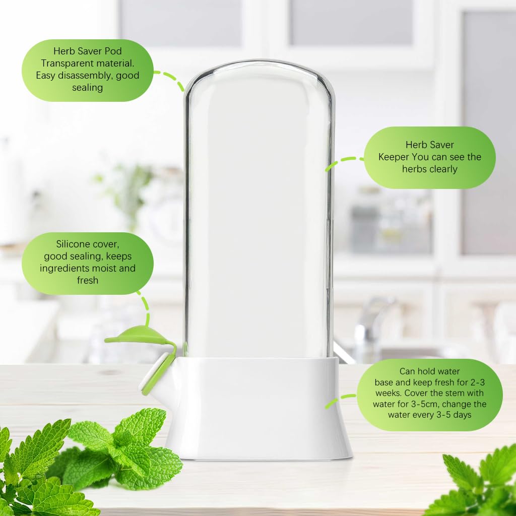 Supvox® Herb Keeper, Glass Herb Saver with Vertical Storage, Kitchen Herb Saver Herb Vertical Storage Glass Containers, Maintains Freshness for Parsley, Rosemary, Mint, Asparagus