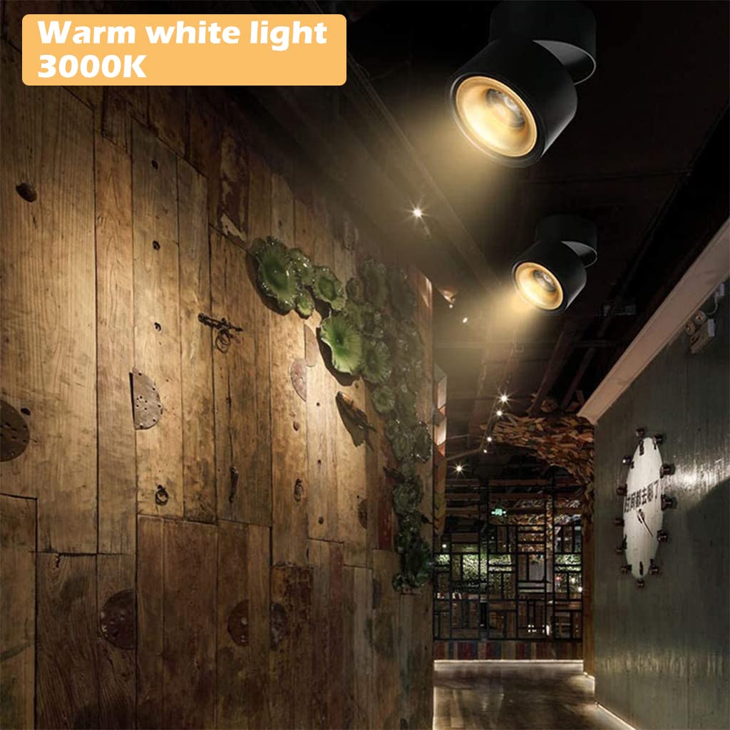 ELEPHANTBOAT Ceiling Spotlight for Home with 10W Warm LED Light and 360° Adjustable Angle | Aluminum Housing