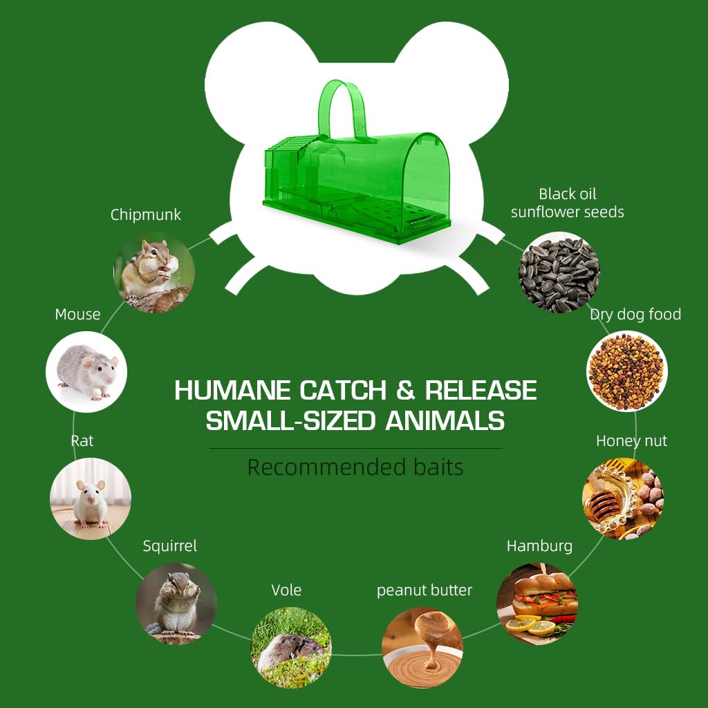 HASTHIP Rat Trap Cage for Home with 7x8.3x20.4cm Size and One Way Entry | Reusable ABS Humane Catcher