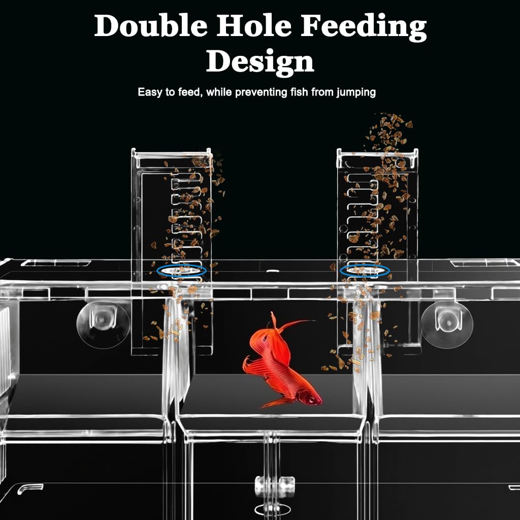 Qpets Aquarium Fish Breeding Box for Fry and Isolation with Double Layer Design 17.5x9x11cm | Clear Acrylic Floating Hatchery